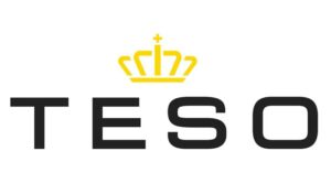 TESO logo